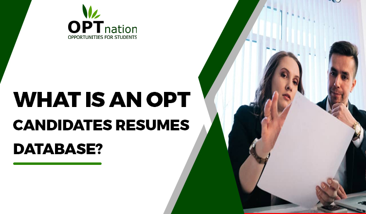 What is an opt candidates resumes database in USA?