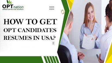 How to get OPT Candidates Resumes in USA?