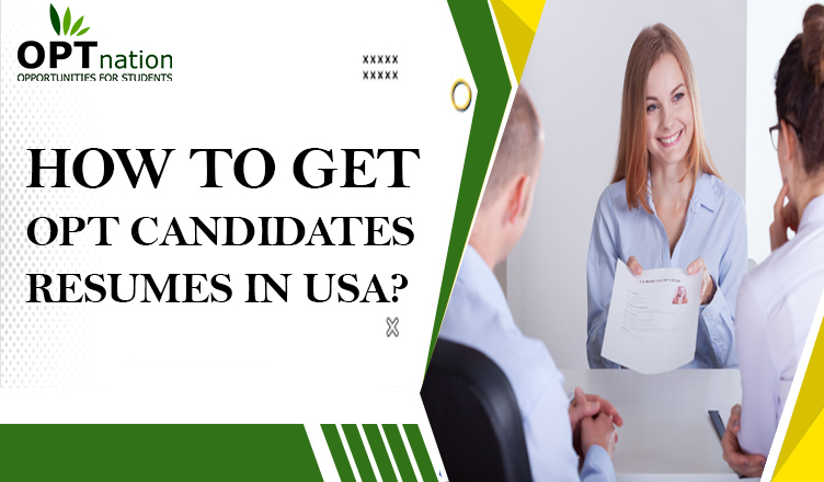 How to get OPT Candidates Resumes in USA?