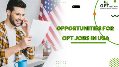 Opportunities for OPT jobs in USA