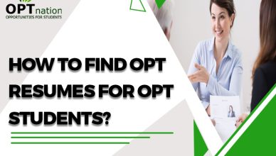 How to find OPT Resumes for OPT Students in USA?