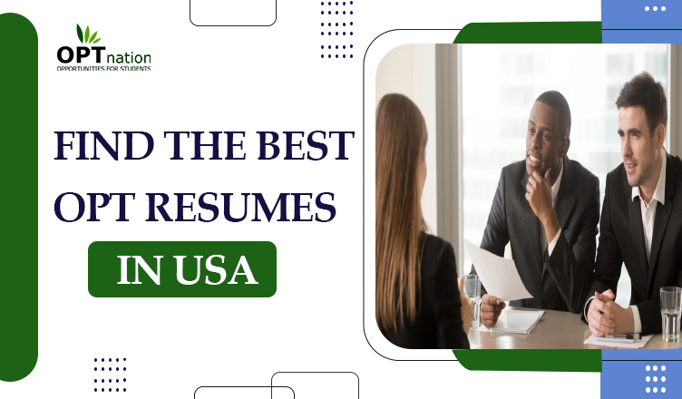 Find the best OPT resumes in USA