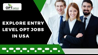 Explore Entry-level OPT jobs in USA