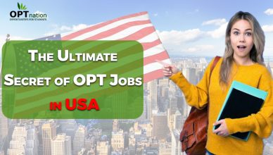 The Ultimate Secret of OPT Jobs in USA