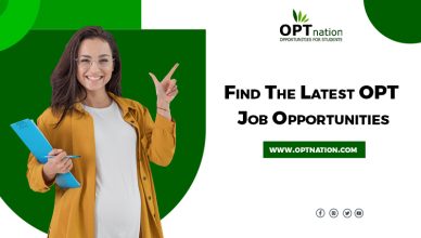 Find The Latest OPT Job Opportunities