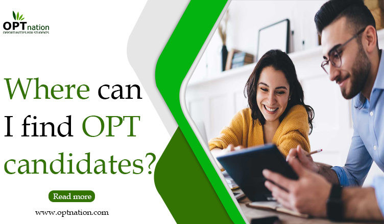 Where Can I Find OPT Candidates?