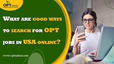 search for OPT jobs in USA online