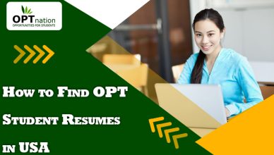 How to Find OPT Student Resumes in USA