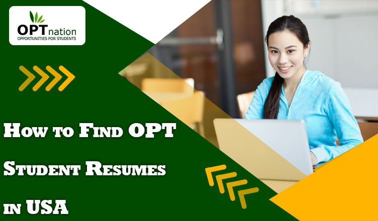 How to Find OPT Student Resumes in USA