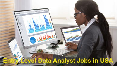 Entry Level Data Analyst Jobs in USA