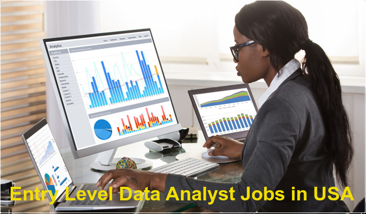 Entry Level Data Analyst Jobs in USA