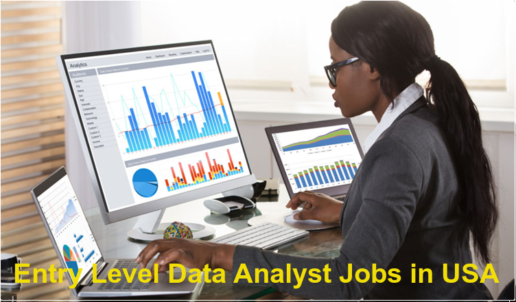 Entry Level Data Analyst Jobs In USA OPTnation
