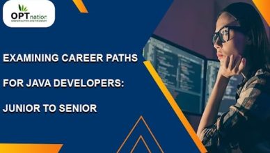 Examining Career Paths for Java Developers: Junior to Senior