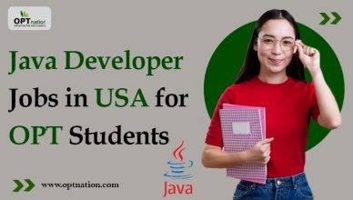 How To Find Java Developer Jobs in USA For OPT Students? - OPTnation