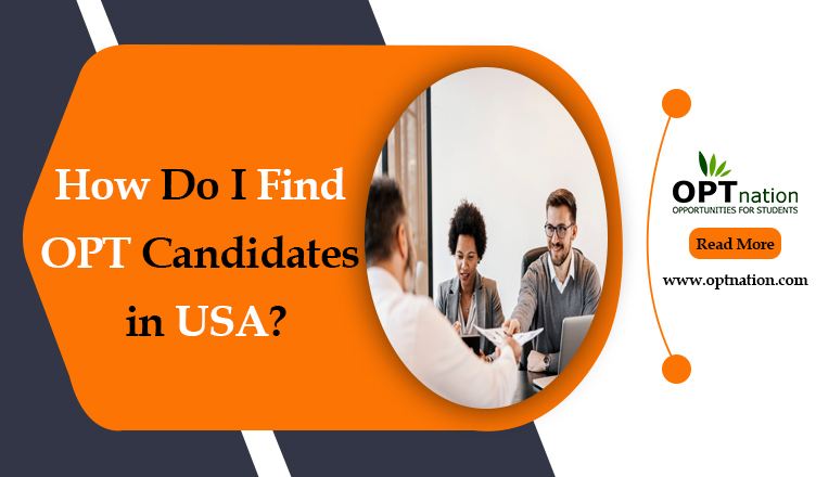 How do I find OPT candidates in USA