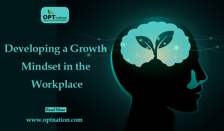Developing a Growth Mindset in the Workplace