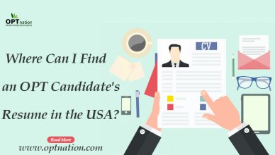 OPT Candidate's Resume in the USA