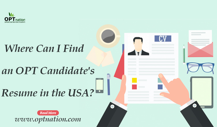 Where Can I Find an OPT Candidate's Resume in the USA?