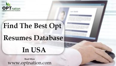 Find The Best OPT Resumes Database In USA