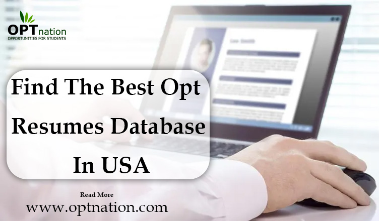 Find The Best OPT Resumes Database In USA