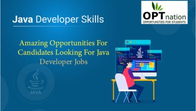 Amazing Opportunities for Candidates Looking For Java Developer Jobs