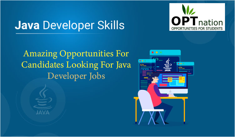 Amazing Opportunities for Candidates Looking For Java Developer Jobs