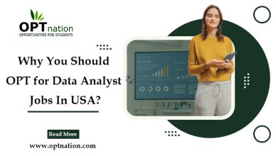 Why You Should OPT for Data Analyst Jobs In USA?