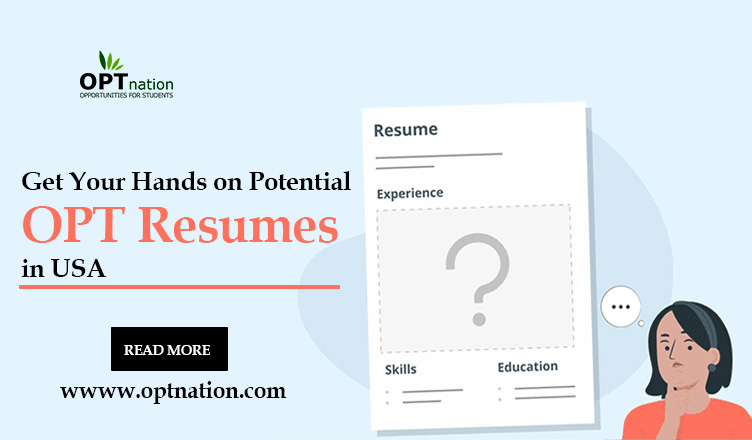 Get Your Hands on Potential OPT Resumes in USA