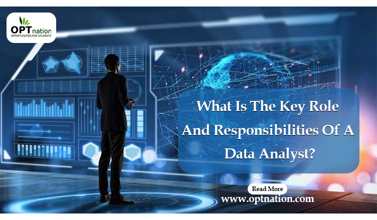 What Is The Key Role And Responsibilities Of A Data Analyst?