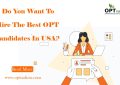 Do You Want To Hire The Best OPT Candidates In USA?