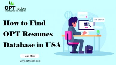 How to Find OPT Resumes Database in USA