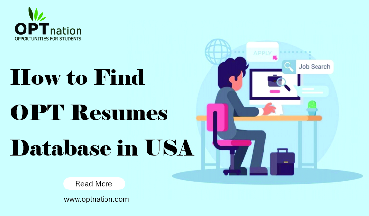 How to Find OPT Resumes Database in USA