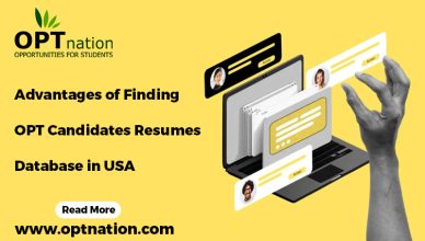 Advantages of Finding OPT Candidates Resumes Database in USA