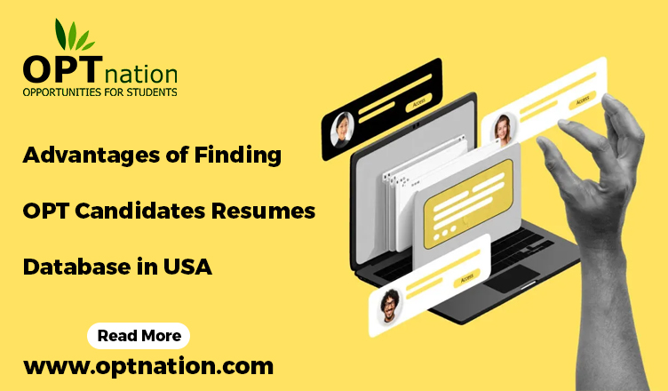 Advantages of Finding OPT Candidates Resumes Database in USA