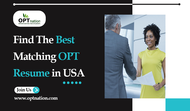 Find The Best Matching OPT Resume in USA