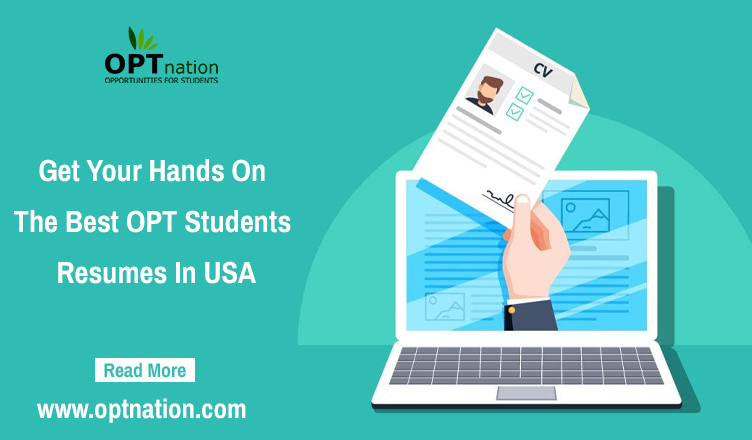 Get Your Hands On The Best OPT Students Resumes In USA