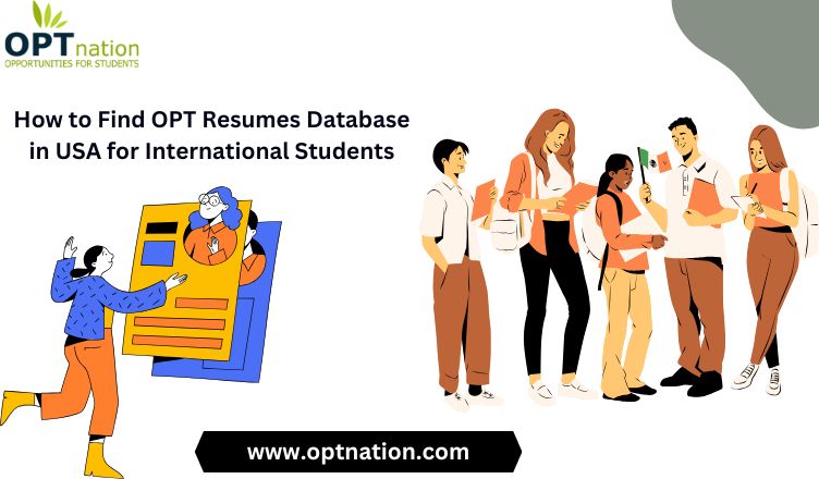 How to Find OPT Resumes Database in USA