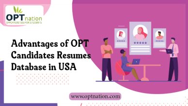 Advantages of OPT candidates resumes database in USA
