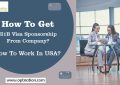 How To Get H1B Visa Sponsorship From Company? How To Work In USA?