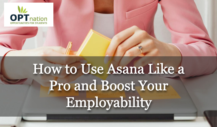 How to Use Asana Like a True Pro and Boost Your Employability