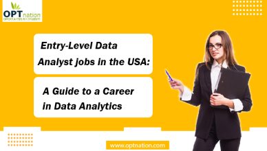 Entry-Level Data Analyst Jobs in the USA: A Guide to a Career in Data Analytics