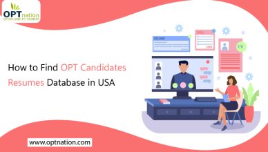 How to Find OPT Candidates Resumes Database in USA