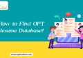 How to Find OPT Resume Database?