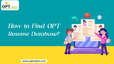 How to Find OPT Resume Database?