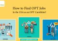 How to Find OPT Jobs In the USA as an OPT Candidate?