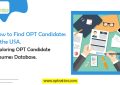 How to Find OPT Candidates in the USA: Exploring OPT Candidate Resumes Database