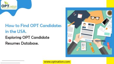 How to Find OPT Candidates in the USA: Exploring OPT Candidate Resumes Database