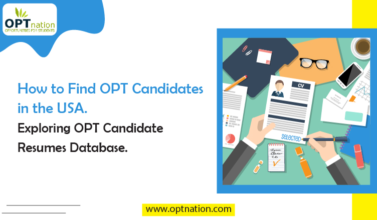 How to Find OPT Candidates in the USA: Exploring OPT Candidate Resumes Database